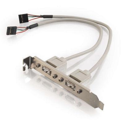1ft 2-Port USB Internal AT Motherboard Adapter