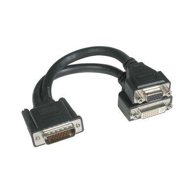 9in One LFH-59 (DMS-59) Male to One DVI-I + trade, Female and One HD15 VGA Female Cable