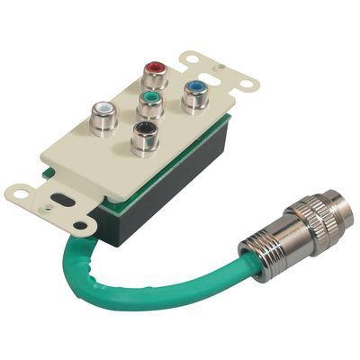 RapidRun(R) Component Video, Stereo Audio Wall Plate - Ivory