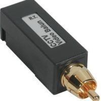 RCA Male to Toolless IDC Video Balun
