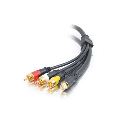 10ft RapidRun(R) S-Video, Composite Video, Stereo Audio Flying Lead