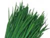 Leek(Asia)