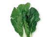 White Vegetable(Bok Choy)
