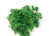 Parsley