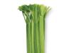Celery
