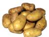 Potato