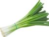 Green Onions