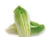 Romaine Hearts