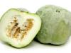 Winter Melon