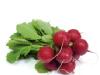 Radishes