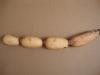Lotus Root