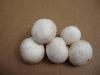 White Mushroom